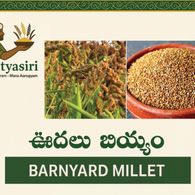Banyard Millet (Udalu)